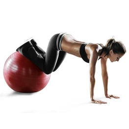 fitness STABILITY BALL PRO 55CM